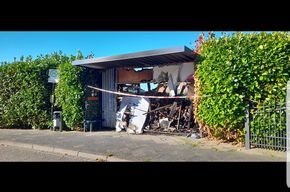 16c8d649-7273-466e-80a4-3bcad9bea324